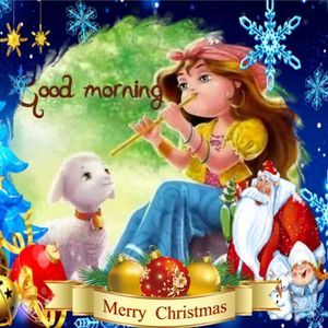 Meet your Posher, Reena